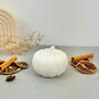 Handmade White Pumpkin Trinket Dish Autumn Decor, thumbnail 1 of 10