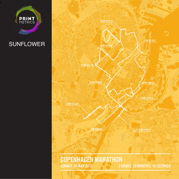 Personalised Copenhagen Marathon, 8 of 12