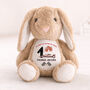 Personalised Racing Bunny First Birthday Gift, thumbnail 1 of 3
