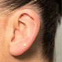 14ct Gold Filled Circle Labret Earring, thumbnail 1 of 12