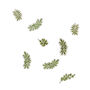 Botanical Party Leaf Table Scatter, thumbnail 2 of 4