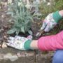 Floral Trowel, Pruner And Gloves, thumbnail 3 of 6