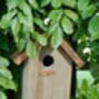 Fsc Certified Pinewood Wooden Blue Tit Bird House, thumbnail 2 of 4