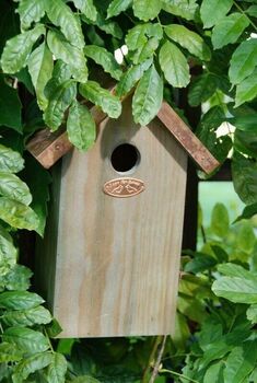 Fsc Certified Pinewood Wooden Blue Tit Bird House, 2 of 4