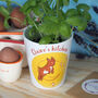 Western Zodiac Personalised Plant Pot, thumbnail 1 of 5