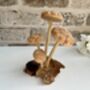 Hand Carved Shitake Wood Mushrooms On Driftwood Base, thumbnail 3 of 11