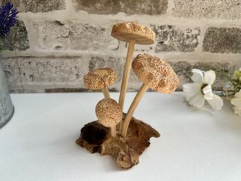Hand Carved Shitake Wood Mushrooms On Driftwood Base, 3 of 11