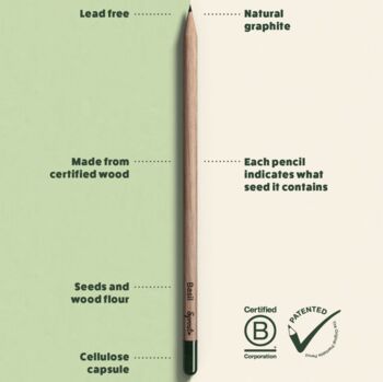 Grow A Christmas Tree Pencil, 5 of 5