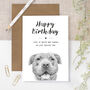 Staffy Birthday Card, thumbnail 1 of 5