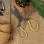 Potting Shed Garden Pruning Scissors, thumbnail 1 of 5