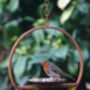 Hanging Bird Feeder Platform Ring, thumbnail 1 of 3