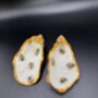 Bee Print Oyster Shells, thumbnail 2 of 3