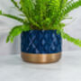 Midnight Gem Planter, thumbnail 4 of 4