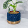 Midnight Transform Planter, thumbnail 2 of 4