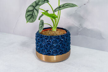 Midnight Transform Planter, 2 of 4