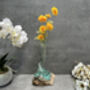 Compact 25cm Molten Glass On Wood Root Vase – Fluted Display, thumbnail 10 of 12