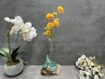 Compact 25cm Molten Glass On Wood Root Vase – Fluted Display, 10 of 12
