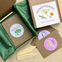 Create Your Own Illustrated Seed Gift Box, thumbnail 1 of 7