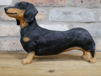 28cm Dachshund Sausage Dog Novelty Pot Indoor Outdoor, 4 of 5