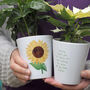 Personalised Sunflower Plant Pot With Seeds, thumbnail 1 of 3