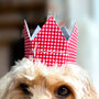 Gingham Dog Birthday Crown, thumbnail 4 of 10