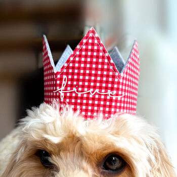 Gingham Dog Birthday Crown, 4 of 10