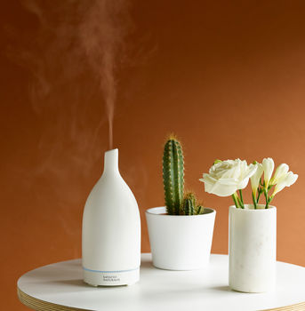 Porcelain Diffuser By From You To Me | notonthehighstreet.com