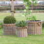 Round Rattan Lined Planter With Rope Handle, thumbnail 3 of 4