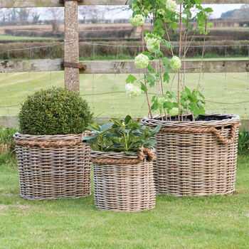 Round Rattan Lined Planter With Rope Handle, 3 of 4