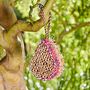 Teardrop Recycled Cotton Insect And Bee House, thumbnail 2 of 3