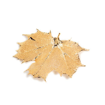Canadian Maple Real Leaf Necklace, 10 of 12