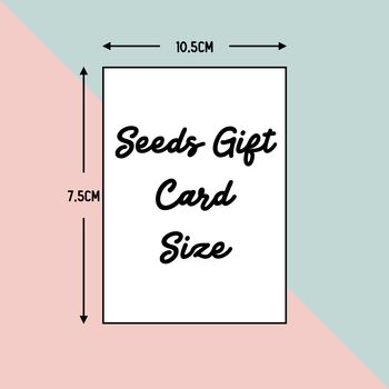 Nursery Teacher Seeds | Gift For Nursery Teacher, 5 of 7