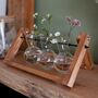 Set Of Three Propagation Vases, thumbnail 1 of 9