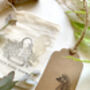 Seahorse Rubber Stamp, thumbnail 5 of 6