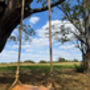Personalised Oak Rope Swing, thumbnail 9 of 12