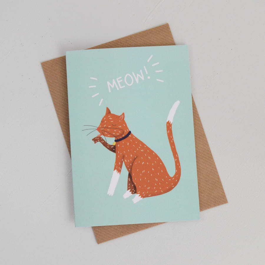 Meow Tabby Cat Card By Hannah Stevens | notonthehighstreet.com