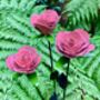 Three Pink Roses Garden Decoration Art096 P, thumbnail 1 of 7
