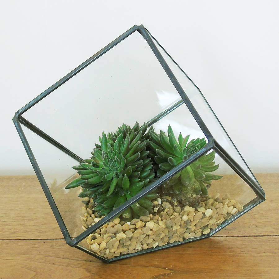 glass cube terrarium by the den & now