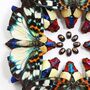 Kaleidoscope Mosaic Box Frame Entomology Taxidermy Insects Bug Moth Butterfly Interior Design Modern Home Decor Wall Hanging Gift Ornament, thumbnail 3 of 5