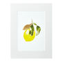 Amalfi Lemon Gold Leaf Watercolour Print, thumbnail 1 of 5