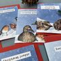 Funny Wildlife Christmas Card Pack Of 12, thumbnail 6 of 7