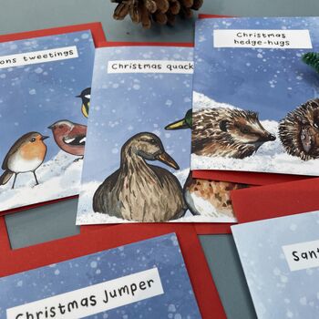 Funny Wildlife Christmas Card Pack Of 12, 6 of 7