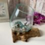 Large Molten Glass Bowl On Driftwood Handmade Pot Pourri Nuts Floating Flower Bowl, thumbnail 10 of 10