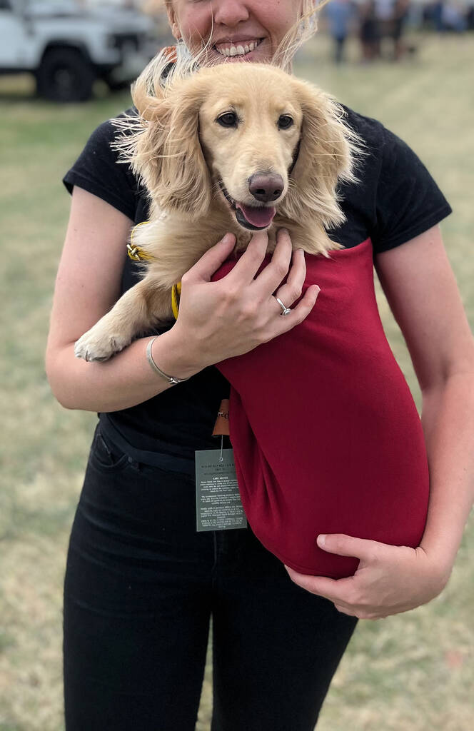 Light Weight Dog Sling By Hugo and Ted