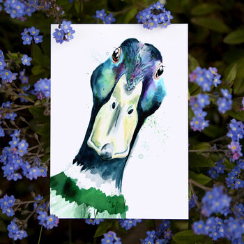 Inky Mallard Silk Postcards, 4 of 6