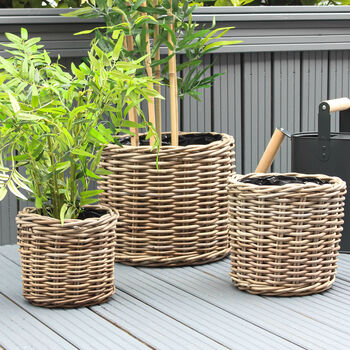 Natural Round Rattan Planter, 3 of 7