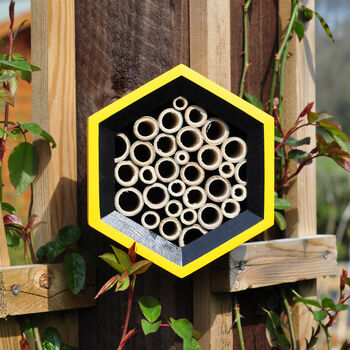 Bee House, 4 of 5