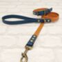 Waterproof Dog Collar And Lead Set Light Brown/Kerosene, thumbnail 1 of 3