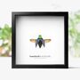 Saundersii Jewel Beetle Insect Bug Entomology Taxidermy Box Frame, thumbnail 1 of 3