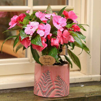 Kilnsey Personalised Pink Fern Planter, 4 of 7